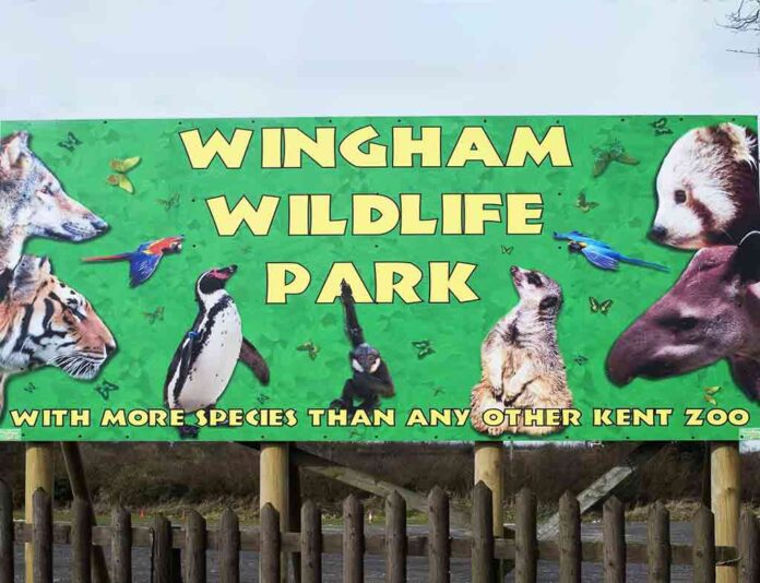 Wingham Wildlife Park UK